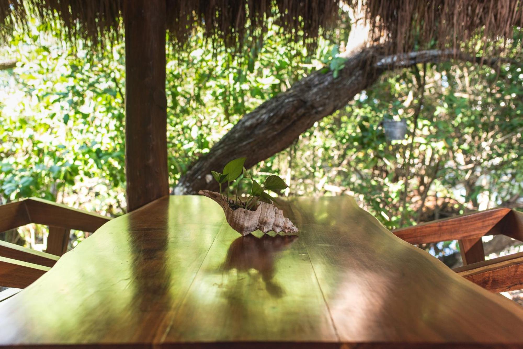 Casa Takywara Hotel Isla Holbox Екстериор снимка