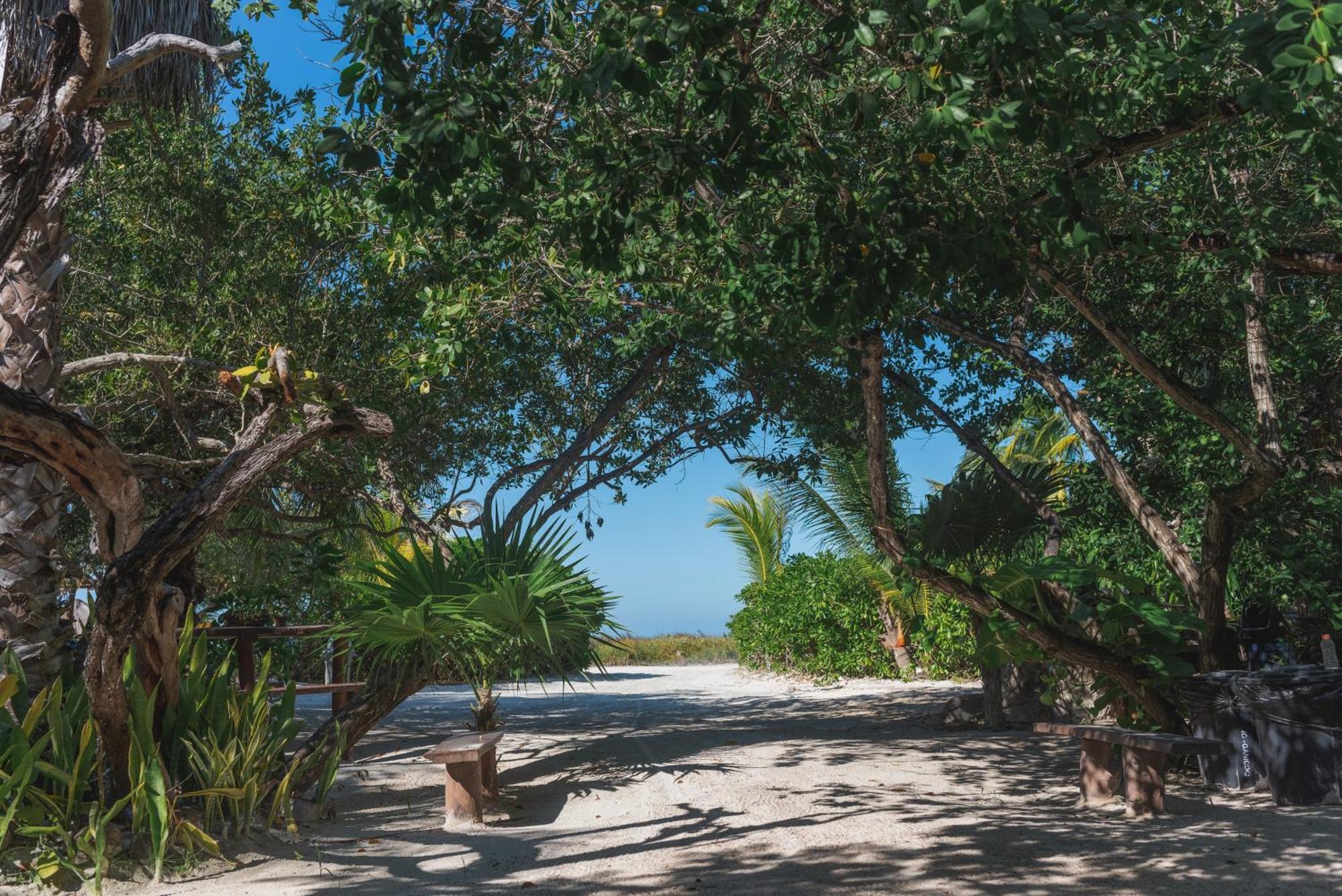 Casa Takywara Hotel Isla Holbox Екстериор снимка